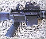 An AR-15 fitted with flip-up aperture and a Bushnell HoloSight