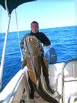 172# Cobia Spear fishing on the coast of Brazil