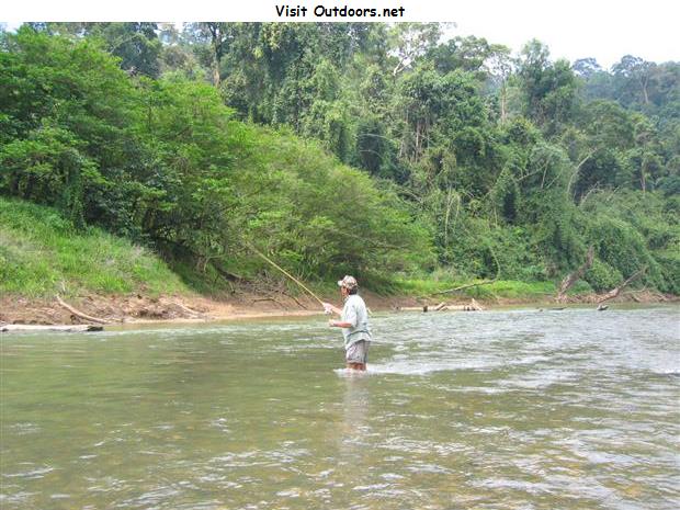 Fishing by the Jungle stream