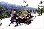 BC moose - Outdoors Network