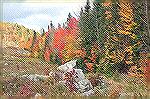 Baxter State Park in Maine marks the end of 
the Appalachian Trail.  The Fall Colors
are usually great in this area.