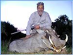 Warthog with 11" tusks killed by Tony Mandile in June 2003 on a 10-day hunting trip with John X Safaris in South Africa.

Tony's Warthog
TM