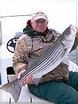 Bob Blatchley with a nice striped bass caught (and released) just outside the Ocean City, Maryland inlet. Late Fall 2009.