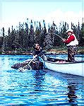 Chuck Edghill plays a brook trout caught in the Parke Lake area of the Eagle River in Labrador.