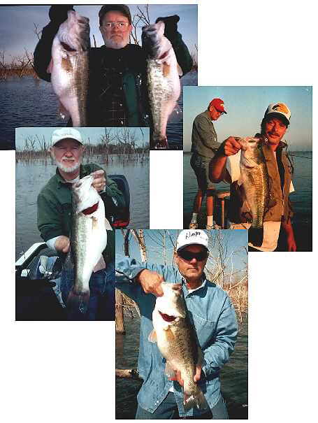 Big Bass Collage