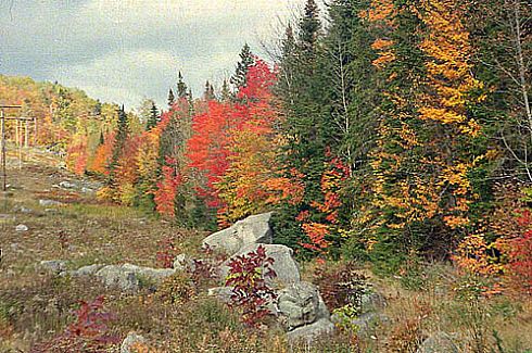 Fall at Baxter State Park