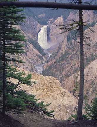 Yellowstone Falls