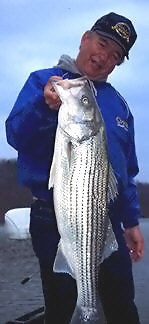 Georgia Stripers