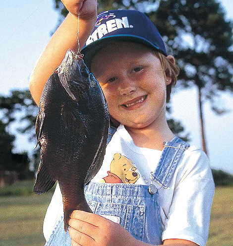 Youngster & Bluegill