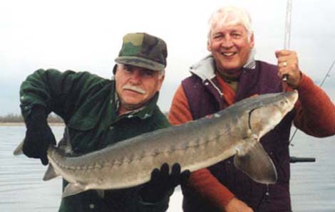 Rainy Lake Sturgeon