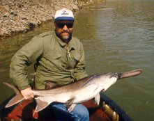 Paddlefish