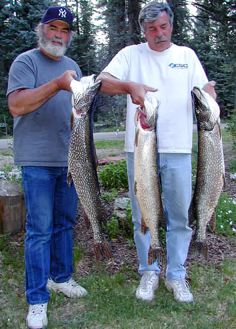 Vallecito Pike