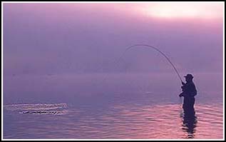 Fly Fishing Labrador