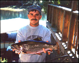 Record Brookie?