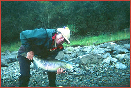 Fraser River Chum