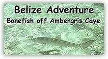 Belize Bonefish
