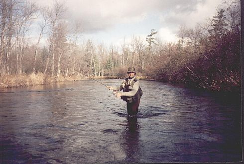 Michigan Steelhead