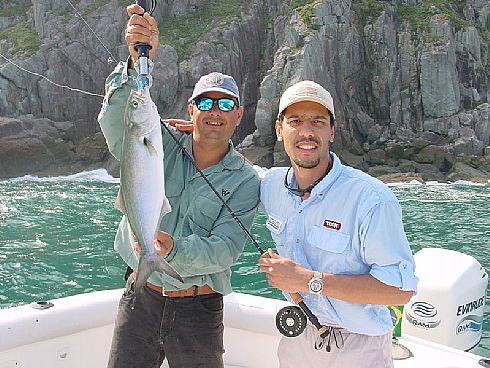 Blue Fish in Brazil