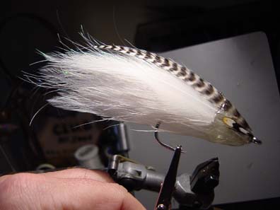 Jungle Cock Feather Brain