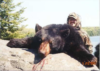 Quebec Bear