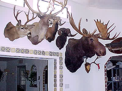 Trophy Room 3