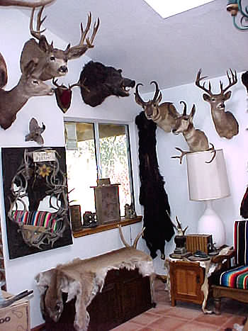 Trophy Room 4