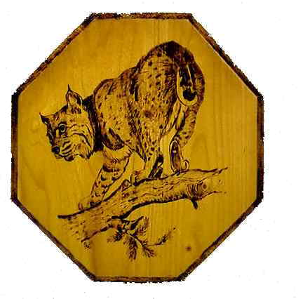 Bobcat Art