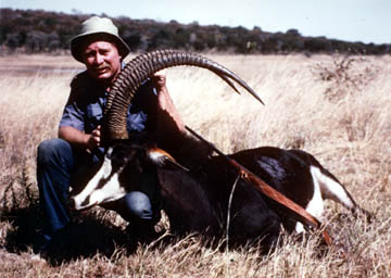 sable antelope