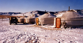 mongolian elk camp