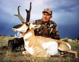 Arizona pronghorn