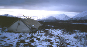 Yukon moose camp