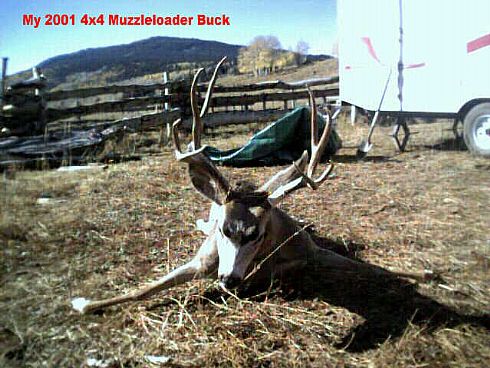 2001 Utah Muzzleloader Buck