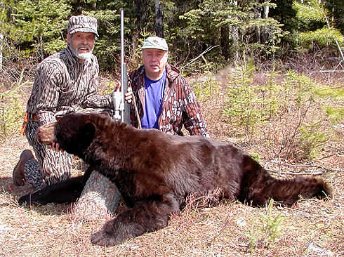 Tony's BC Bear