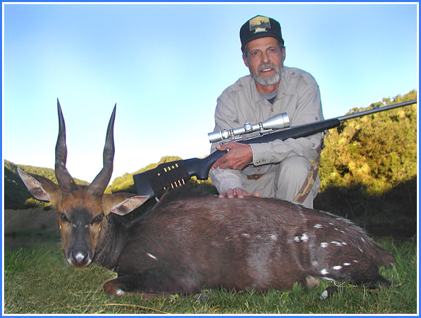 Tony's Bushbuck