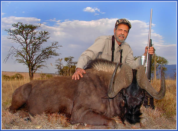 Tony's Black Wildebeest 1