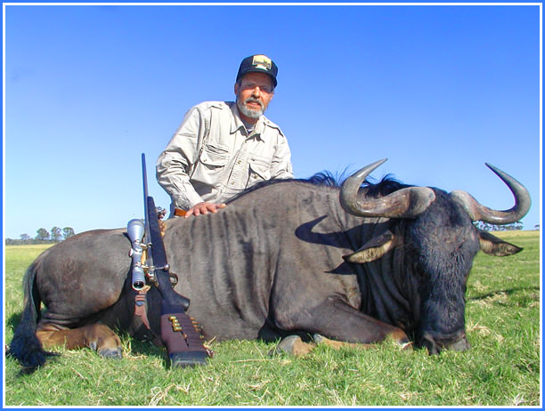 Tony's Blue Wildebeest 1