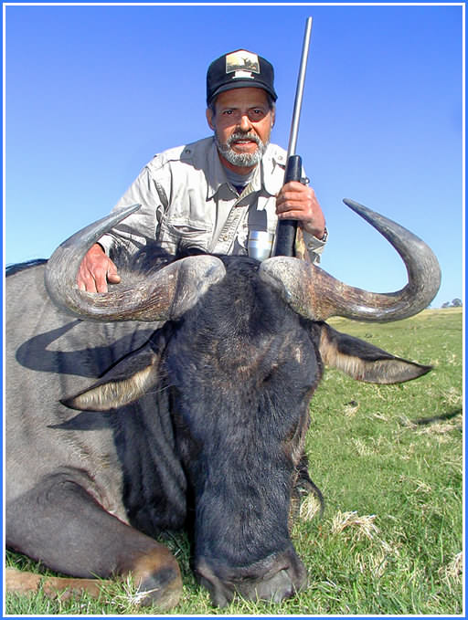 Tony's Blue Wildebeest 2