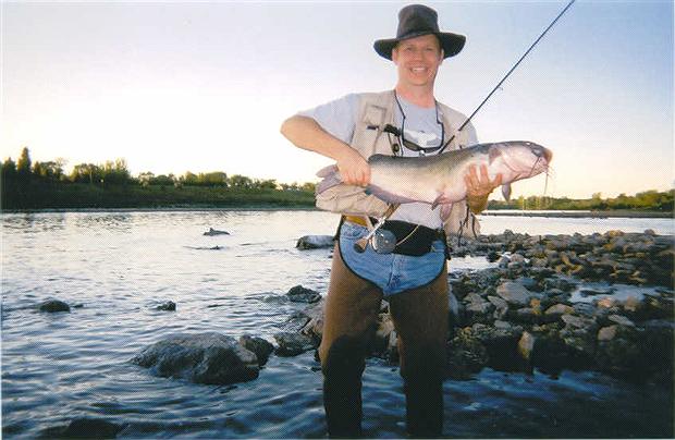 Channel Cat on the Fly