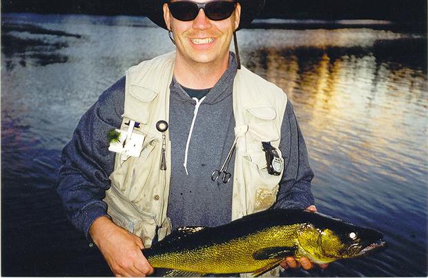 Walleye on the fly.