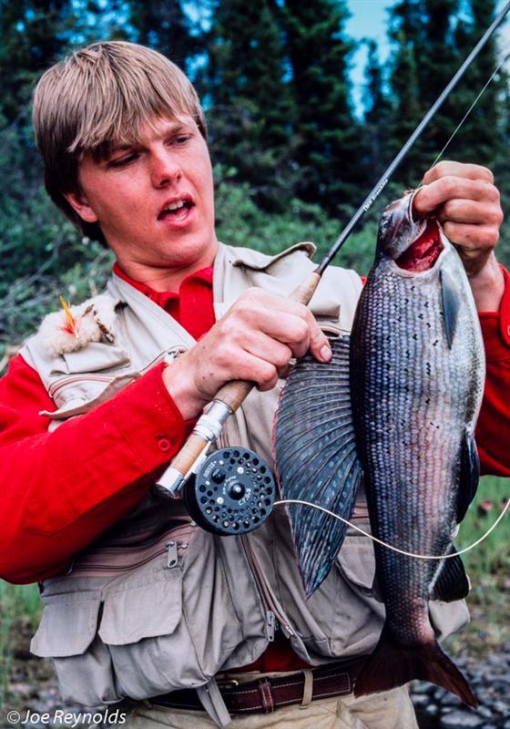 Manitoba Grayling