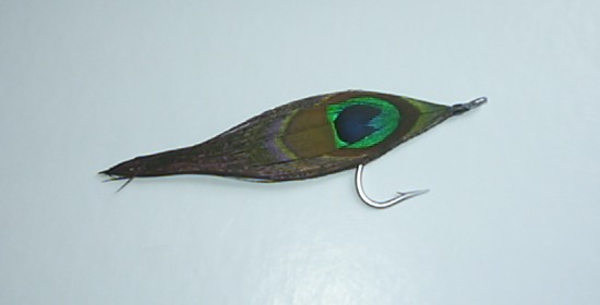peacock eye fly
