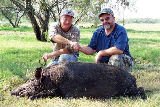 Texas Feral Hog