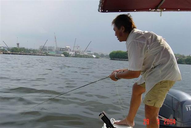 Stripping for Ladyfish