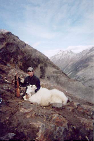 Mountain Goat