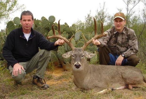 Texas Whitetail