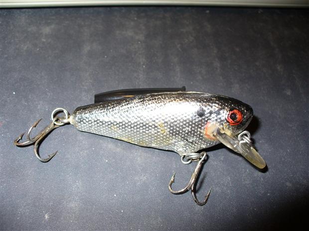 Bagley Small Fry Shad