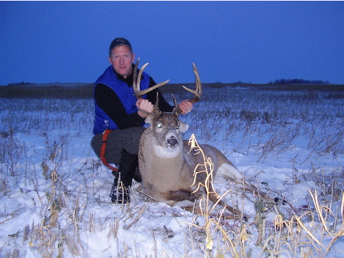 alberta buck