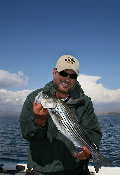 Lake Pleasant Striper II