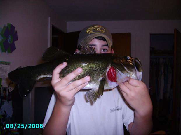 big bass boys bass