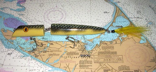 Big Jointed EEL